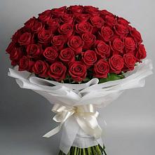 Букет 101 Красная роза Блэк Мэджик в Виллози