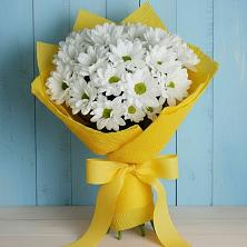 Букет цветов из:  Хризантемы в Виллози