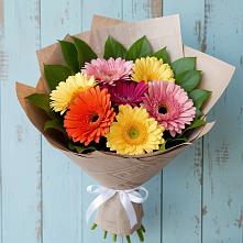 Букет цветов из:  Герберы в Виллози