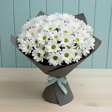 Букет цветов из:  Хризантемы в Виллози