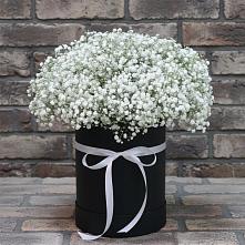 Цветочная композиция из Гипсофила в шляпной коробке в Виллози