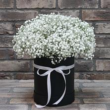 Цветочная композиция из Гипсофила в шляпной коробке в Виллози