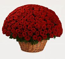 Премиум букет из: Розы #REPLACE_PRED# Виллози