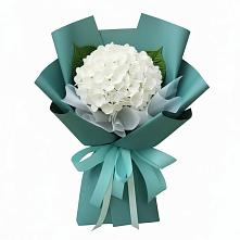 Букет цветов из:  Гортензия #REPLACE_PRED# Виллози